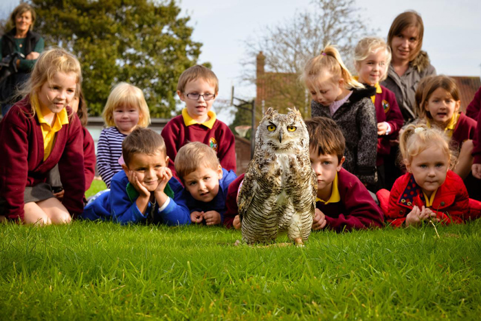 School children gathering round an owl