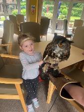 Interactive bird of prey sessions for schools, preschool and nursery children